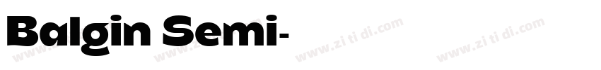 Balgin Semi字体转换